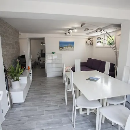 Sunshine * 비스카로스 플라주