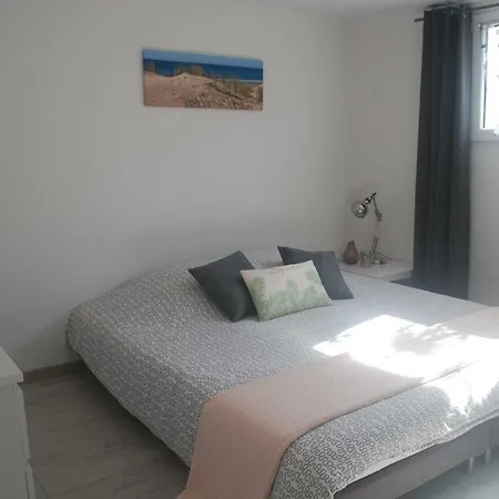 Sunshine * 비스카로스 플라주