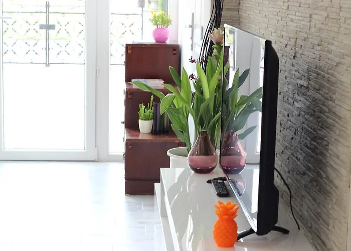 Sunshine Séjour chez l'habitant Biscarrosse-Plage